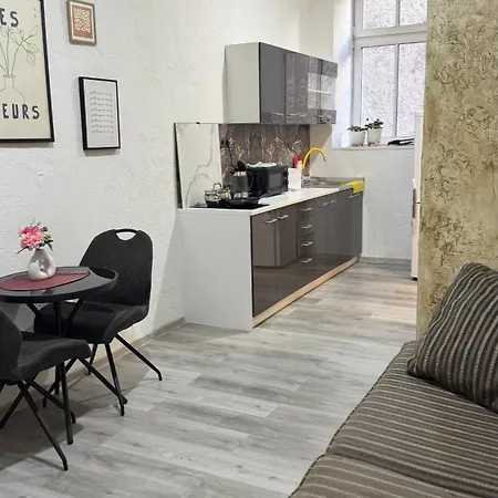 Apartment Iron Karlovy Vary